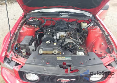 2005 Ford Mustang from USA, damaged, VIN 1ZVFT84N655245396